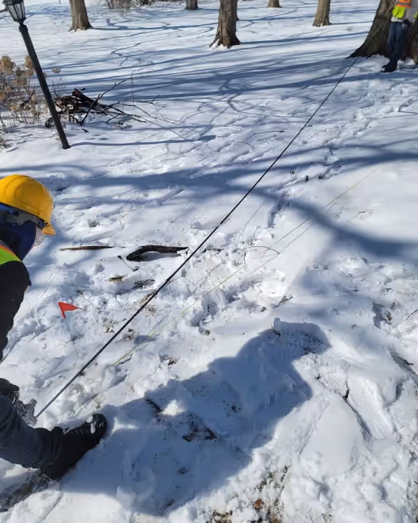 Arborist conducting a site inspection